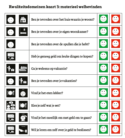 Kwaliteitsdomeinen Schalock gevisualiseerd